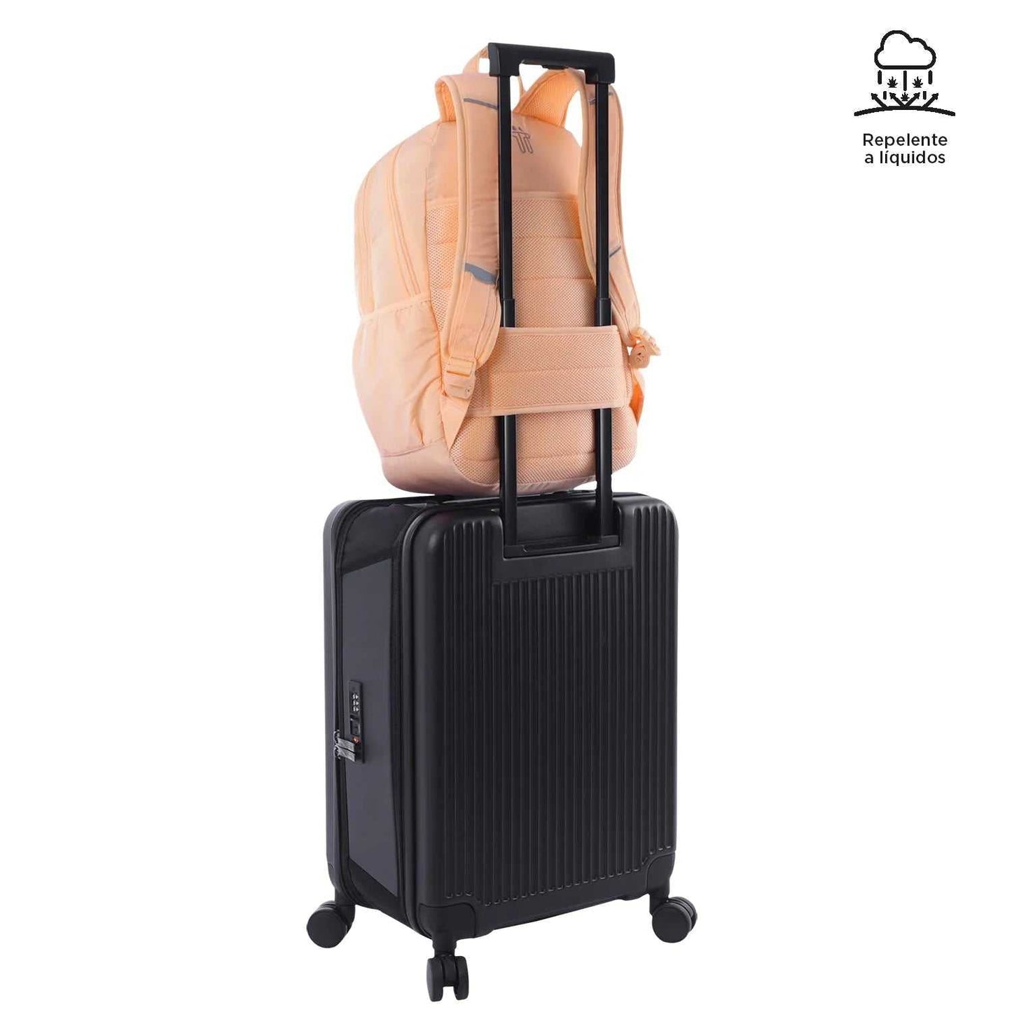 Morral Universitario Porta PC 14" Plaine Durazno Mujer - Mundobags