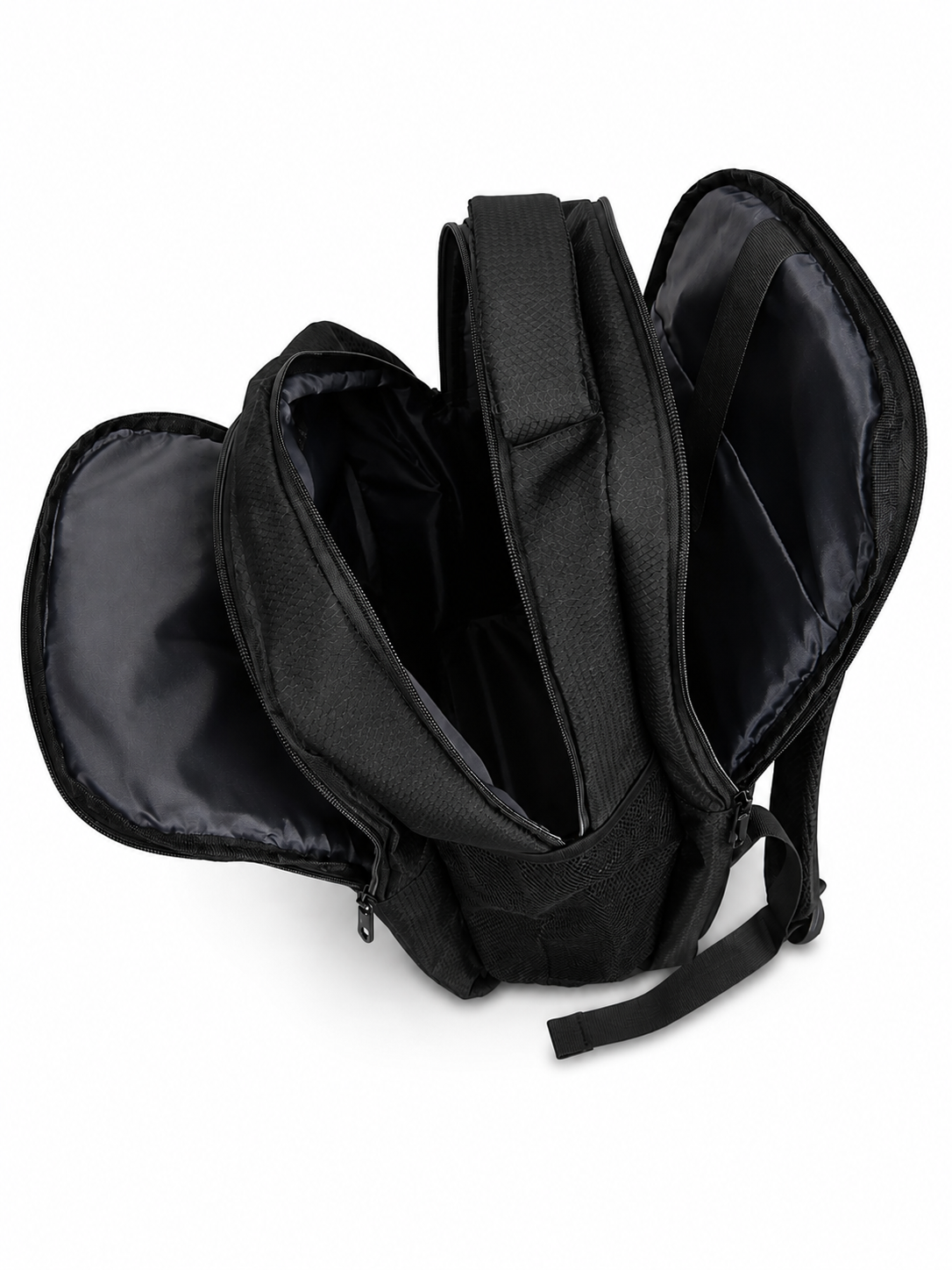 MORRAL EXPANDIBLE